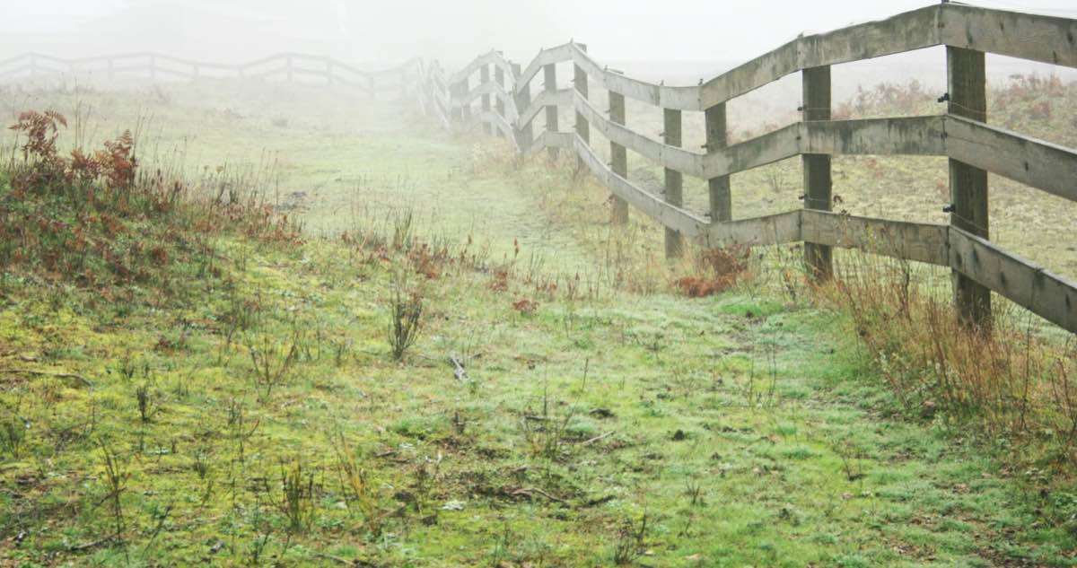 Boundaries vs. Barriers: What's the Difference?